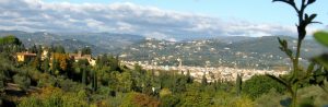 cropped-IMG_2509_2.jpg